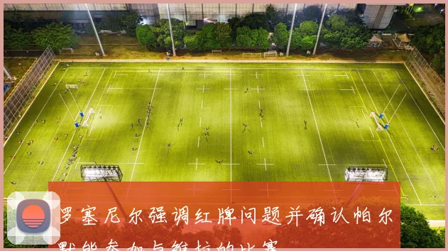 罗塞尼尔强调红牌问题并确认帕尔默能参加与维拉的比赛