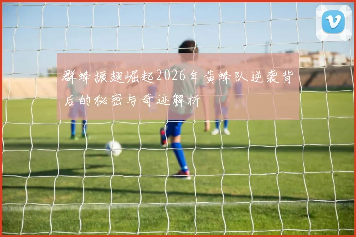 群蜂振翅崛起2026年黄蜂队逆袭背后的秘密与奇迹解析