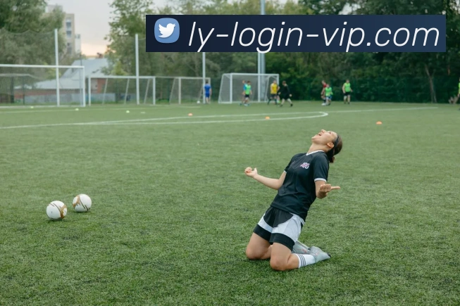 乐鱼体育服务体系