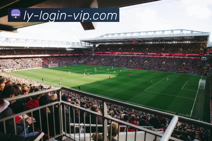 多媒体互动体验